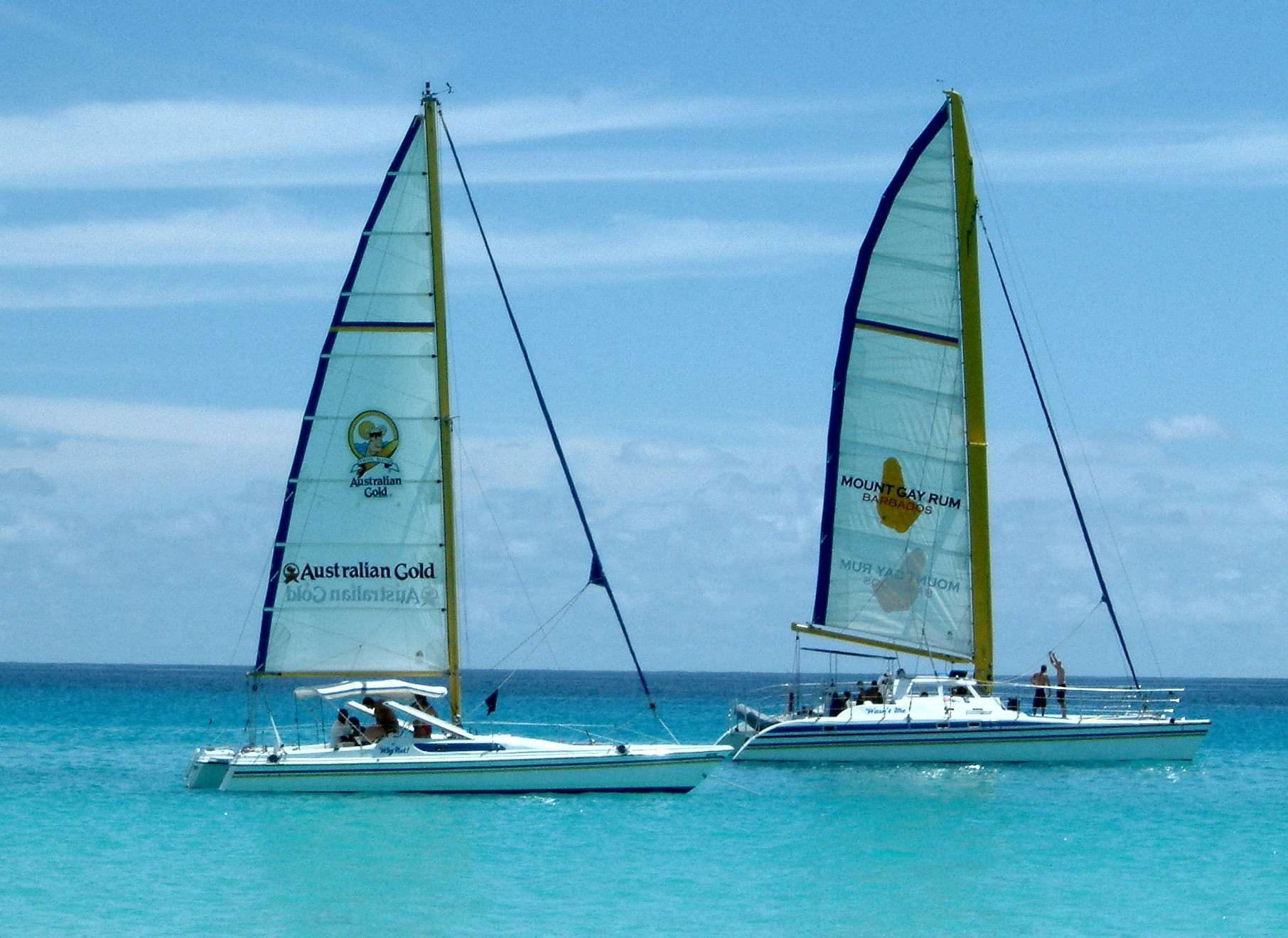 Catamaran